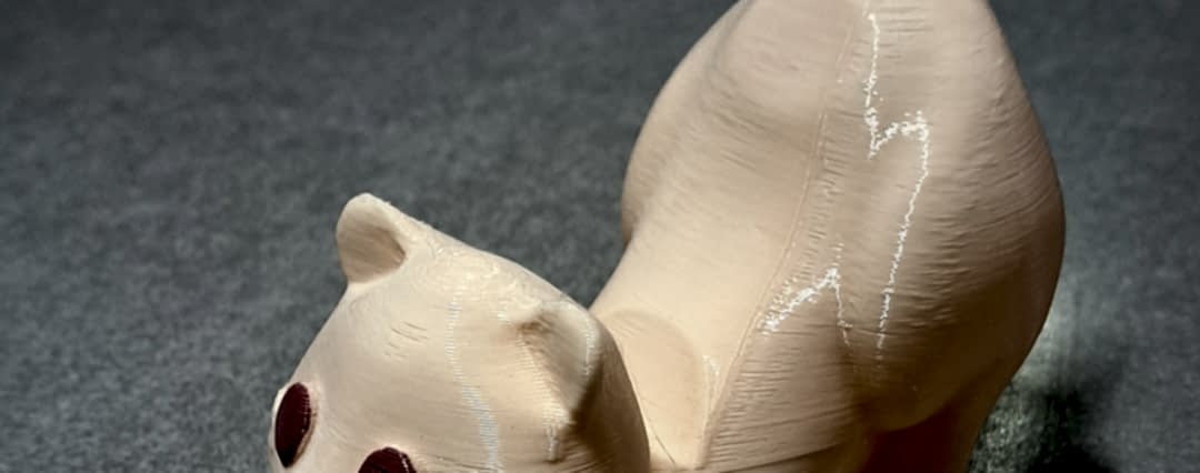 Kedi telefon tutacağı